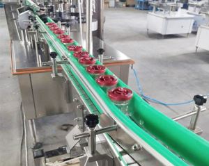 全自动91抖音成人视频生产线